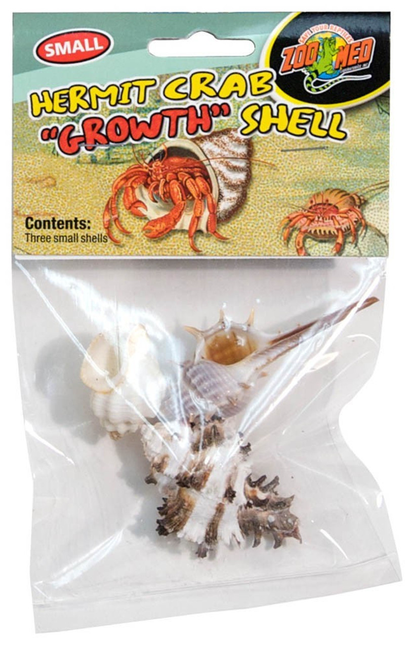 Hermit Crab Growth Shell Small 3pk - The Tye-Dyed Iguana - Reptiles and  Reptile Supplies in St. Louis.