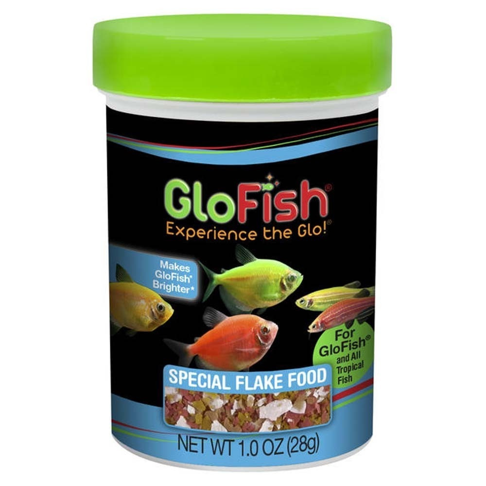 tetra fish glofish