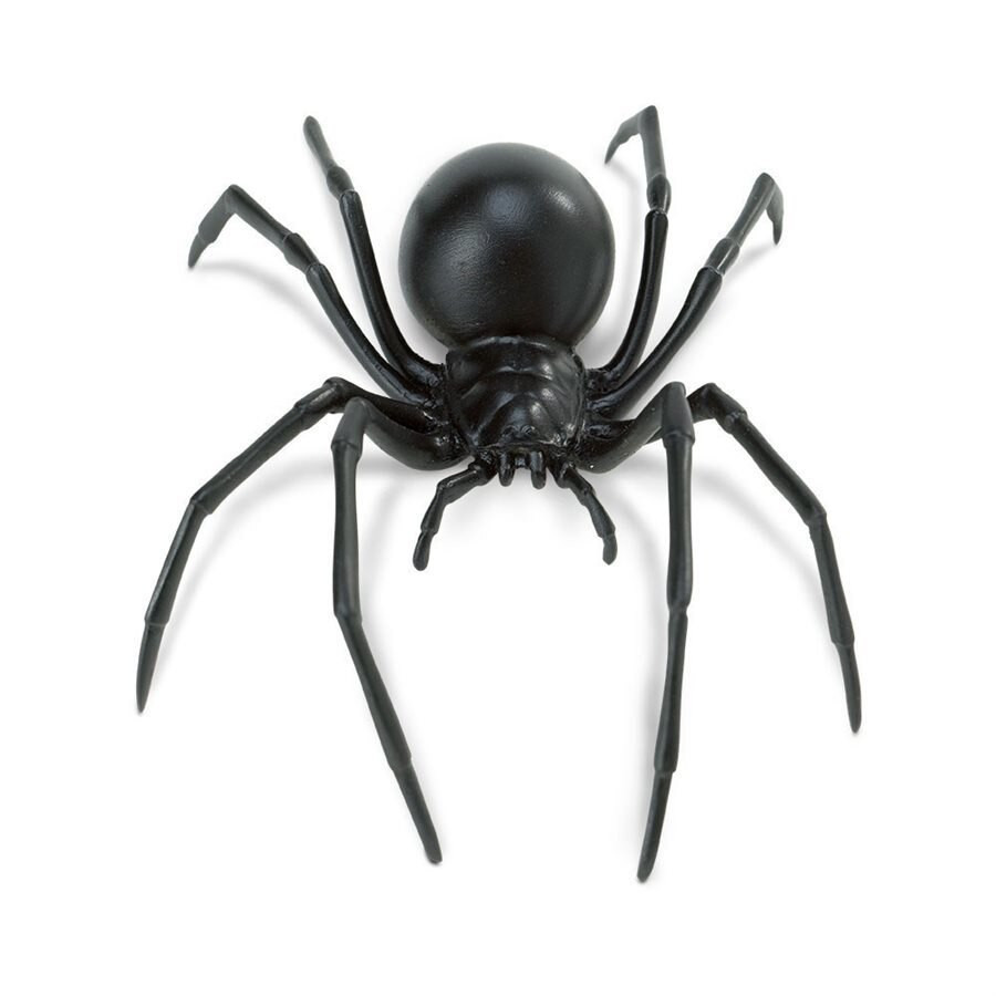 Toy - Black Widow Spider - Safari | Tye-Dyed Iguana