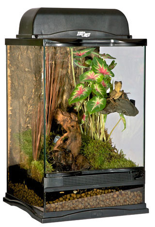 Naturalistic Terrarium - 12x12x18 - Zoo Med | Tye-Dyed Iguana