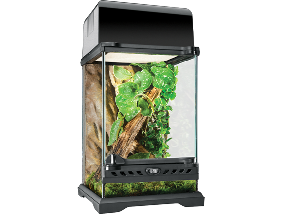 EXO TERRA NANOグラステラリウムナノ Nano Cage 8x8x12 - The Tye-Dyed Iguana - Reptiles and Reptile