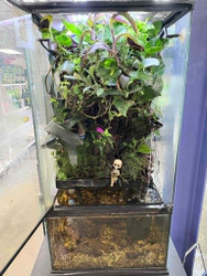 How to Build a Paludarium