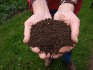 Comparing Compost: What Do You Put In? Comparing Compost: What Do You Put In?
