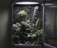 How to Make a Cheap Bioactive Setup How to Make a Cheap Bioactive Setup
