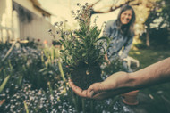 How to Prep Next Year's Garden How to Prep Next Year's Garden