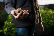 Save Garden Time with Crop Planning Save Garden Time with Crop Planning