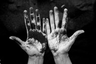 The Quick and Dirty Guide to Effective Soil Amendments The Quick and Dirty Guide to Effective Soil Amendments