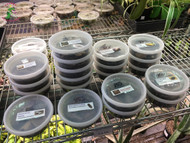 The Tiny Custodians that Will Remove Your Exotic Pet Waste for You The Tiny Custodians that Will Remove Your Exotic Pet Waste for You