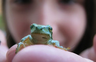 What Kids Need to Know about Exotic Pets What Kids Need to Know about Exotic Pets