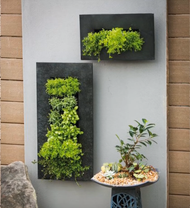 Why Indoor Gardening is the Best Hobby for Crafters Why Indoor Gardening is the Best Hobby for Crafters