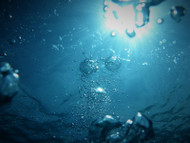 You're Not Using Tap Water in Your Hydroponic Reservoir, Right? You're Not Using Tap Water in Your Hydroponic Reservoir, Right?