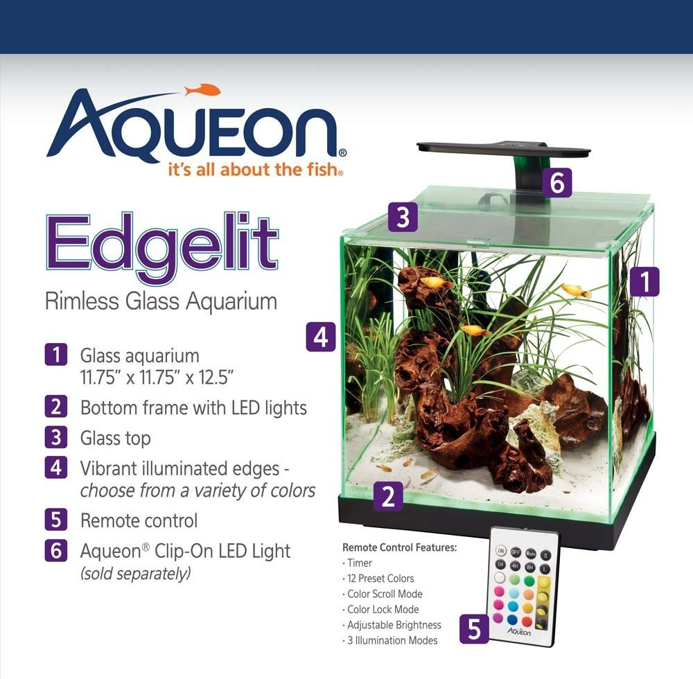 Aqueon Edgelit Rimless Cube Aquarium 6 gal The TyeDyed Iguana