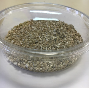 Deli Cup w/ Vermiculite and Lid Pre-Punched 38 oz - Tye-Dyed Iguana