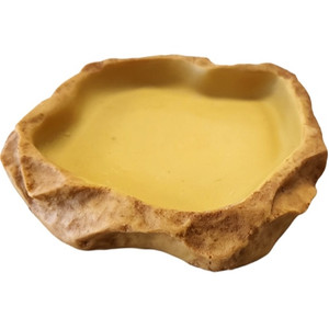 Feeding Dish Large - Tye-Dyed Iguana