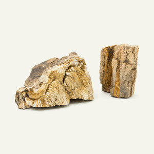 Petrified Wood Per Pound