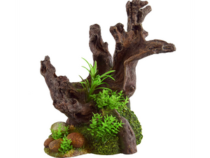 Overgrown Stump - Underwater Treasures Overgrown Stump - Underwater Treasures