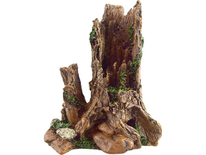 Stump with Vines Stump with Vines