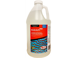 Kick-Ich Pro 64 oz - Ruby Reef