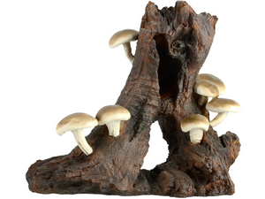Root with Mushroom - Large Root with Mushroom - Large