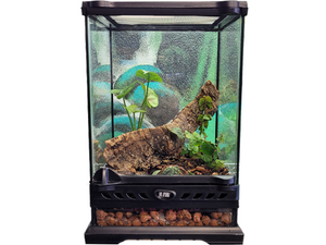 Living Vivarium 8x8x12