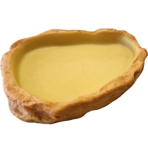 Feeding Dish Medium - Tye-Dyed Iguana Feeding Dish Medium - Tye-Dyed Iguana