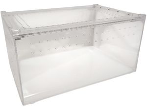 Insectarium Medium - Tye-Dyed Iguana Insectarium Medium - Tye-Dyed Iguana