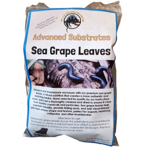 Advanced Substrates Sea Grape Leaves (Invertebrate) 15 g - Tye-Dyed Iguana Advanced Substrates Sea Grape Leaves (Invertebrate) 15 g - Tye-Dyed Iguana