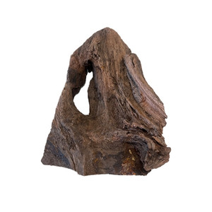Mangrove Driftwood X-Large - Aquaglobe | Tye-Dyed Iguana