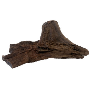 Malaysian Wood - X-Large - Aquaglobe