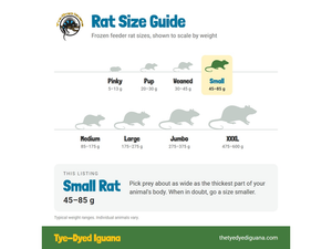 Frozen Rat - Small