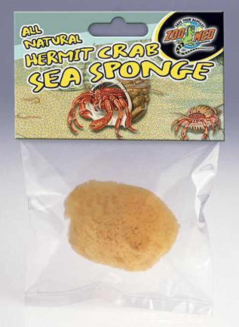 Hermit Crab Sponge