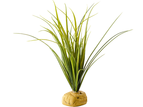 Turtle Grass Turtle Grass