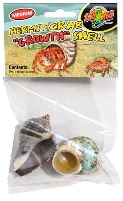 Hermit Crab Growth Shell Small 3pk - The Tye-Dyed Iguana - Reptiles and  Reptile Supplies in St. Louis.