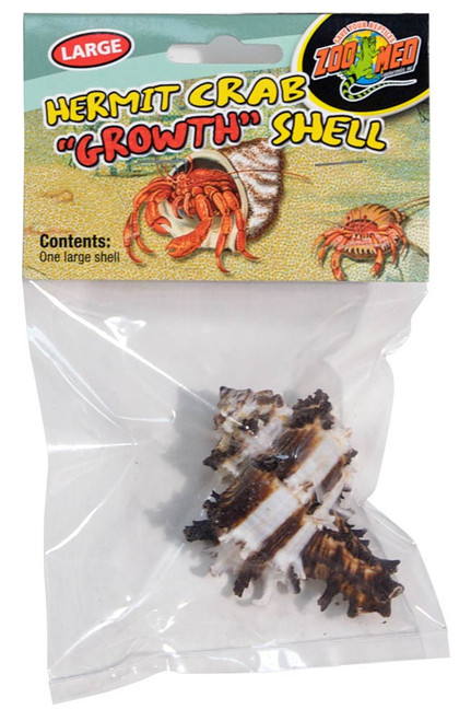 Hermit Crab "Growth" Shell Large 1 pk - Zoo Med Hermit Crab "Growth" Shell Large 1 pk - Zoo Med