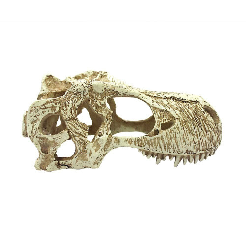 T-Rex Skull - Large