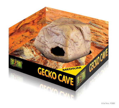 Gecko Cave Medium