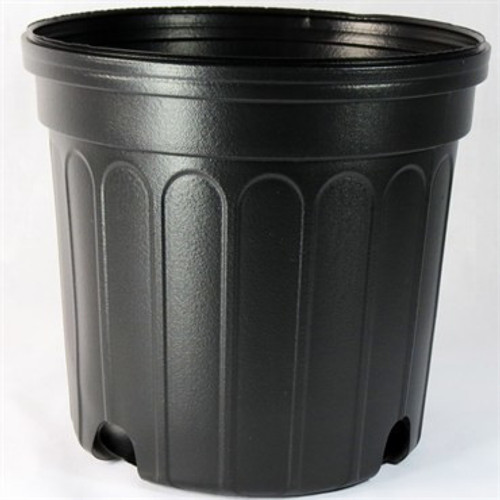 Economy Nursery Pot 2 Gallon