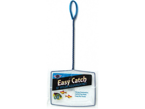 Blue Ribbon Easy Catch Fine Mesh Net 8in - The Tye-Dyed Iguana - Reptiles  and Reptile Supplies in St. Louis.