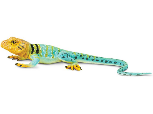 Toy - Collared Lizard Toy - Collared Lizard