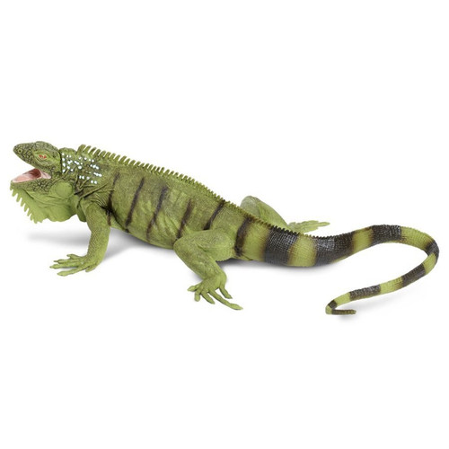 Iguana Toy