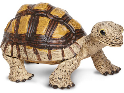 Toy - Tortoise Toy - Tortoise