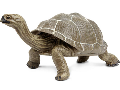 Toy - Tortoise Large Toy - Tortoise Large