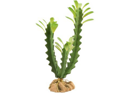 Naturalistic Desert Flora Euphorbia - Zoo Med Naturalistic Desert Flora Euphorbia - Zoo Med