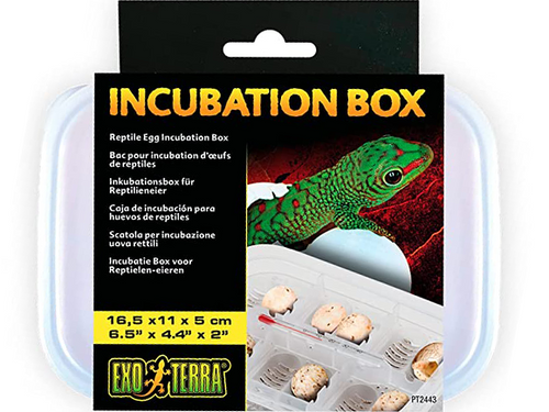 Exo Terra Incubation Box