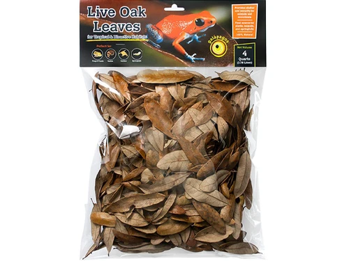 Live Oak Leaf Litter 4 qt - Galapagos