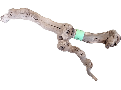 Grapevine Medium 18" Grapevine Medium 18"
