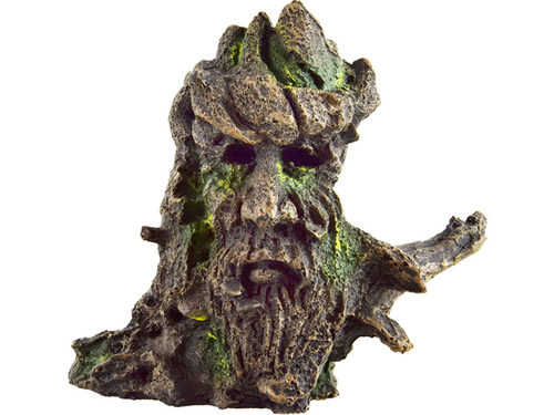 Man in Root - Underwater Treasures Man in Root - Underwater Treasures