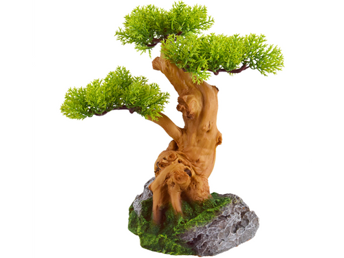 Old Bonsai Tree - Underwater Treasures Old Bonsai Tree - Underwater Treasures