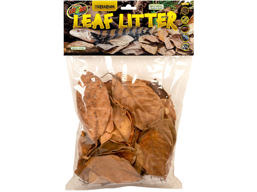 https://cdn11.bigcommerce.com/s-ldfio/images/stencil/500x659/products/4574/8406/Zoo-Med-Terrarium-Leaf-Litter__92062.1697478885.png?c=2