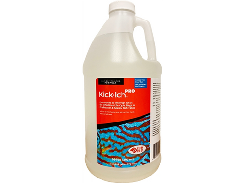 Kick-Ich Pro 64 oz - Ruby Reef